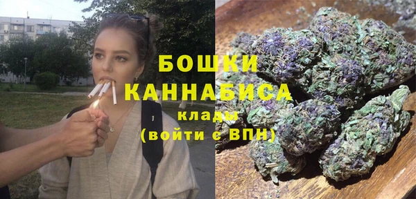ALPHA-PVP Надым