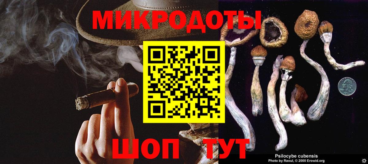 Псилоцибиновые грибы Psilocybine cubensis  Вход с VPN  Кохма  Псилоцибиновые грибы Psilocybe 